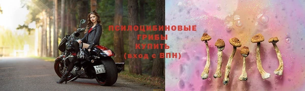 стафф Беломорск