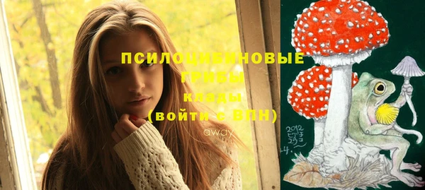 кокс Белокуриха