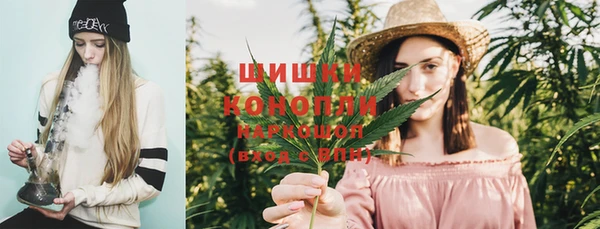 кокс Белокуриха