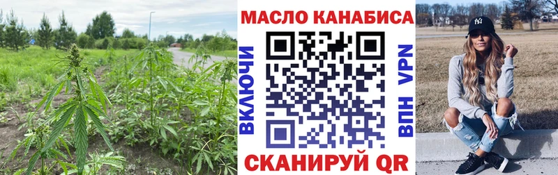 Купить закладки  Гаврилов-Ям  Дистиллят ТГК Wax 