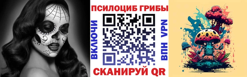 Галлюциногенные грибы Psilocybe  Купить  Гаврилов-Ям 